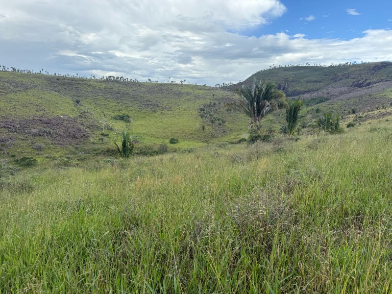 MONTE FORMOSO