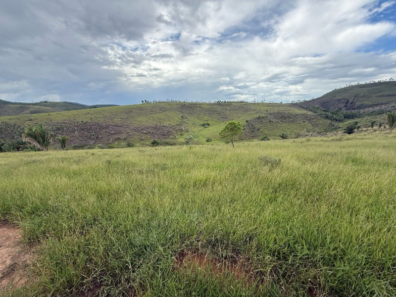 MONTE FORMOSO