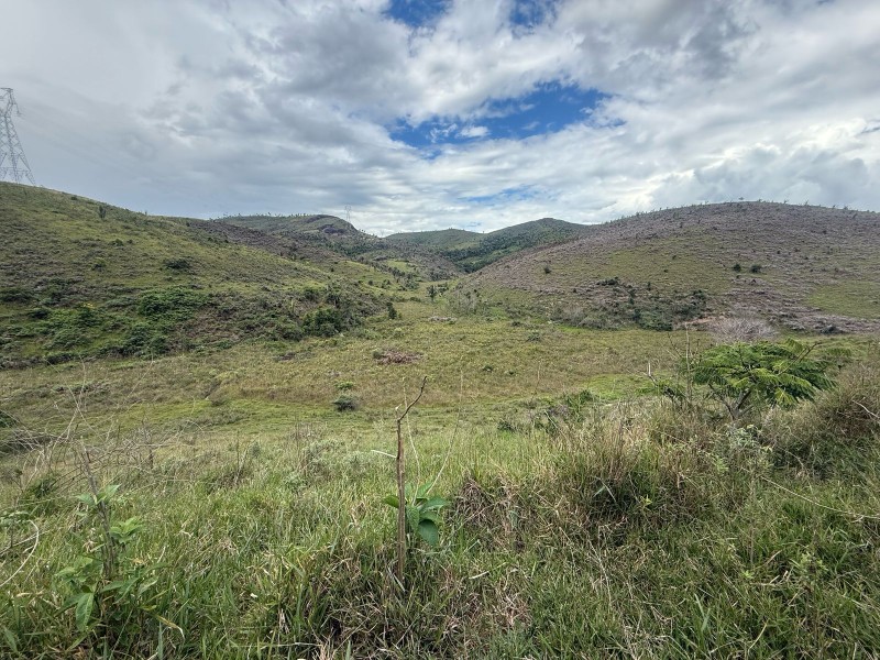 MONTE FORMOSO
