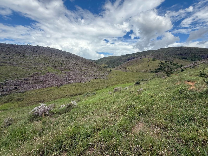 MONTE FORMOSO
