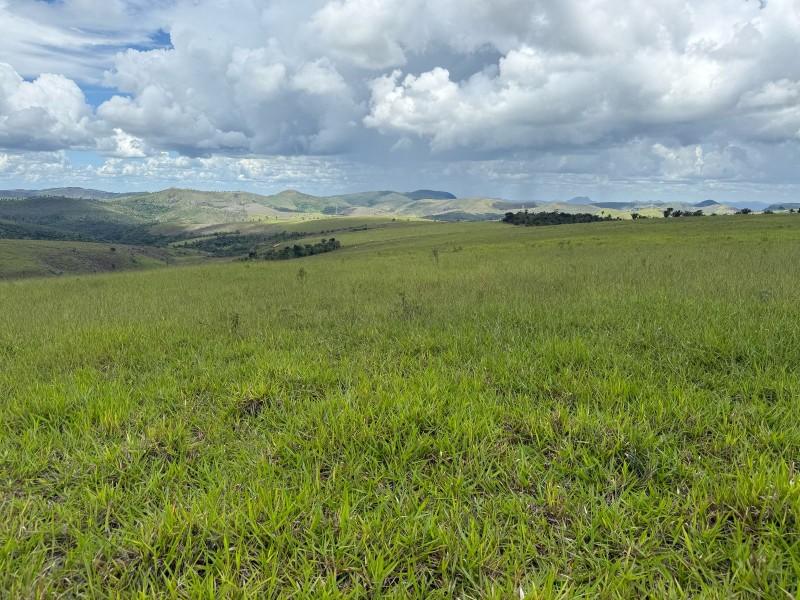 MONTE FORMOSO