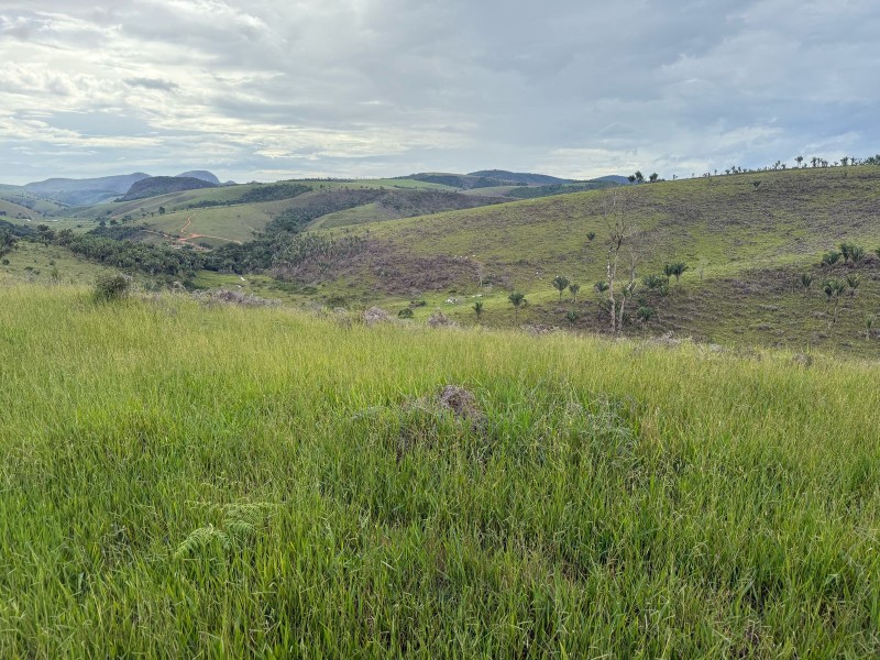 MONTE FORMOSO