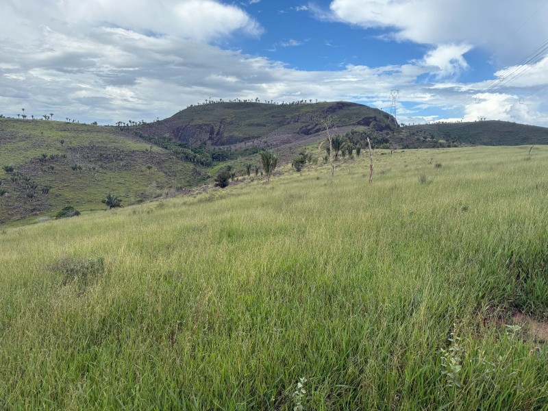 MONTE FORMOSO