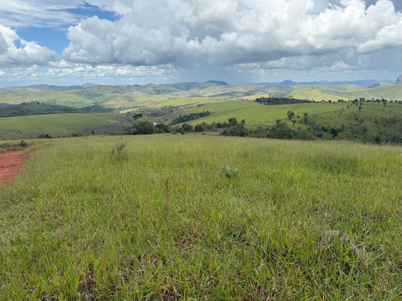 MONTE FORMOSO