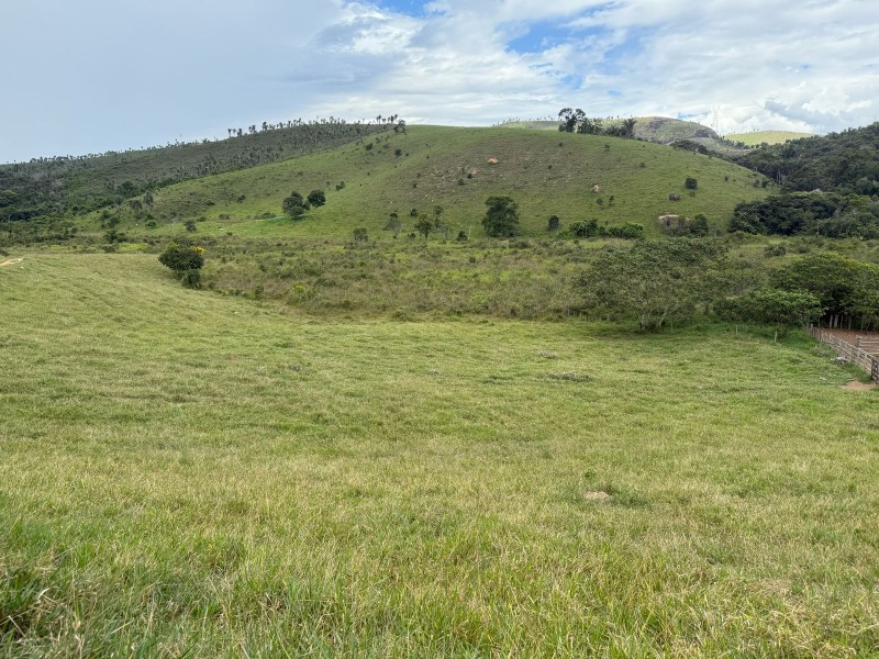 MONTE FORMOSO