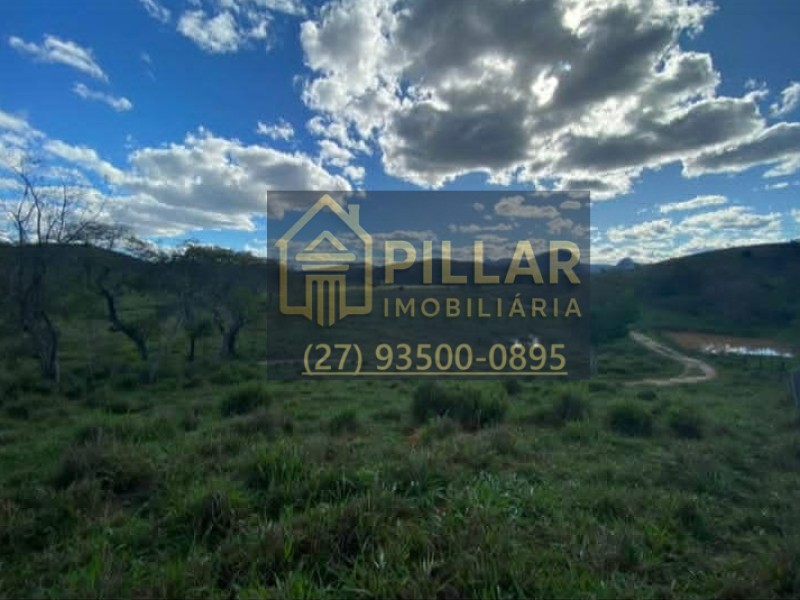 FAZENDA EM CAMPANÁRIO - MG