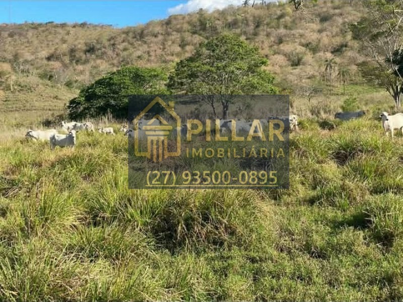 FAZENDA EM CAMPANÁRIO - MG