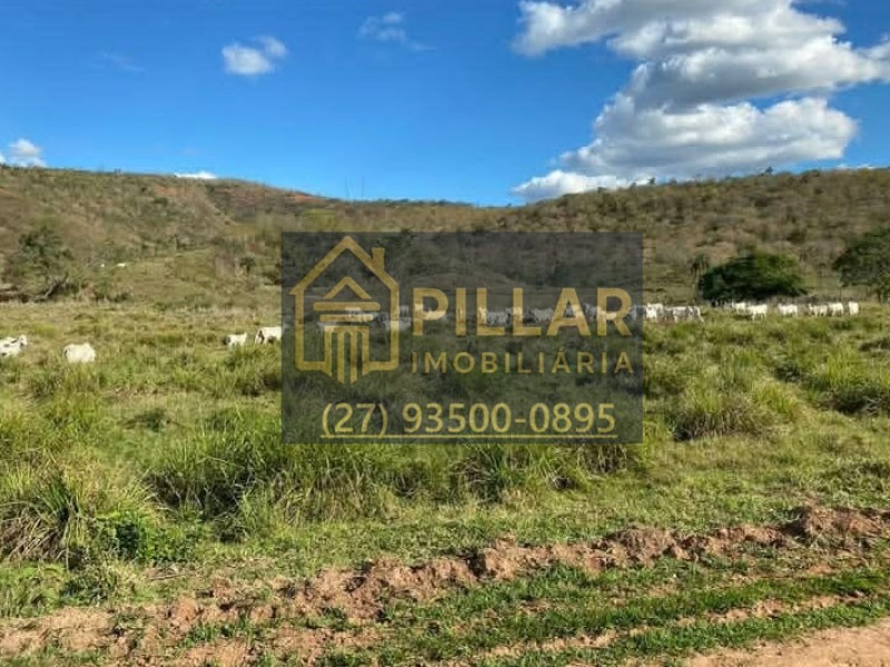 FAZENDA EM CAMPANÁRIO - MG