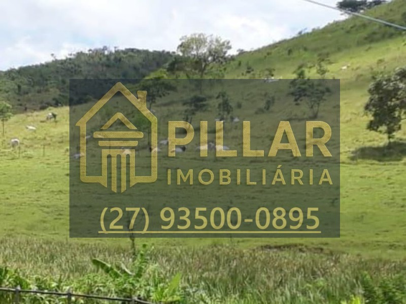 FAZENDA EM PESCADOR - MG