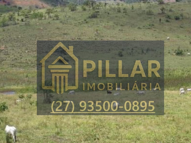 FAZENDA EM PESCADOR - MG