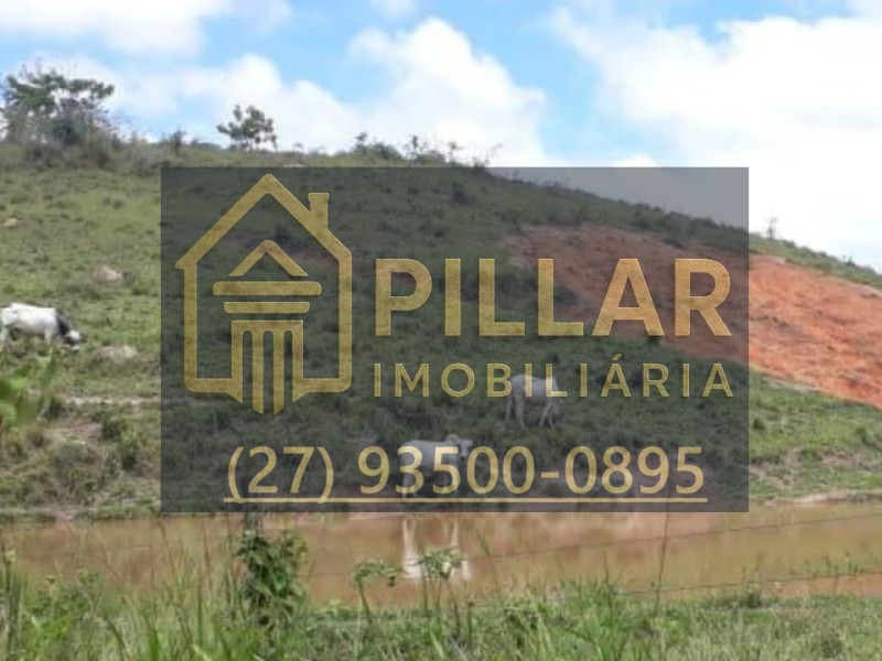 FAZENDA EM PESCADOR - MG