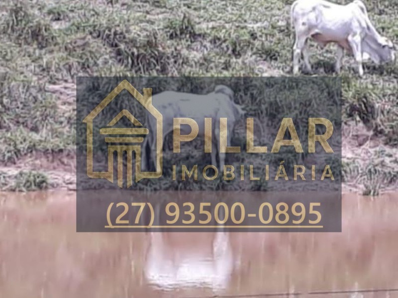 FAZENDA EM PESCADOR - MG