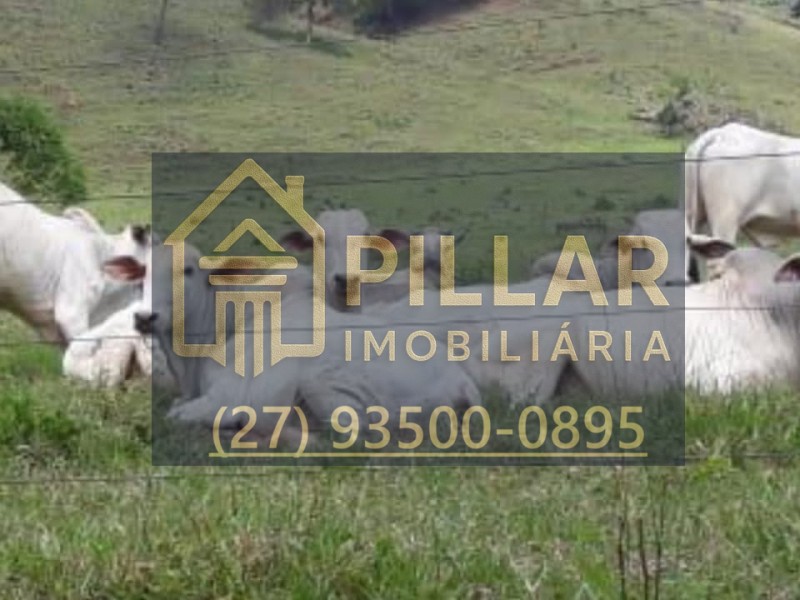 FAZENDA EM PESCADOR - MG