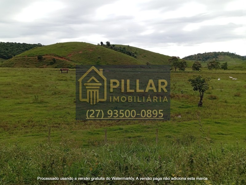 FAZENDA EM SÃO PEDRO - PESCADOR - MG