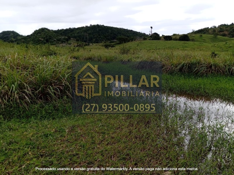 FAZENDA EM SÃO PEDRO - PESCADOR - MG