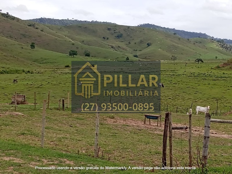 FAZENDA EM SÃO PEDRO - PESCADOR - MG